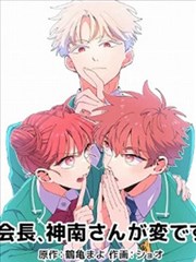 图鉴样例：漫画原作联动卡片